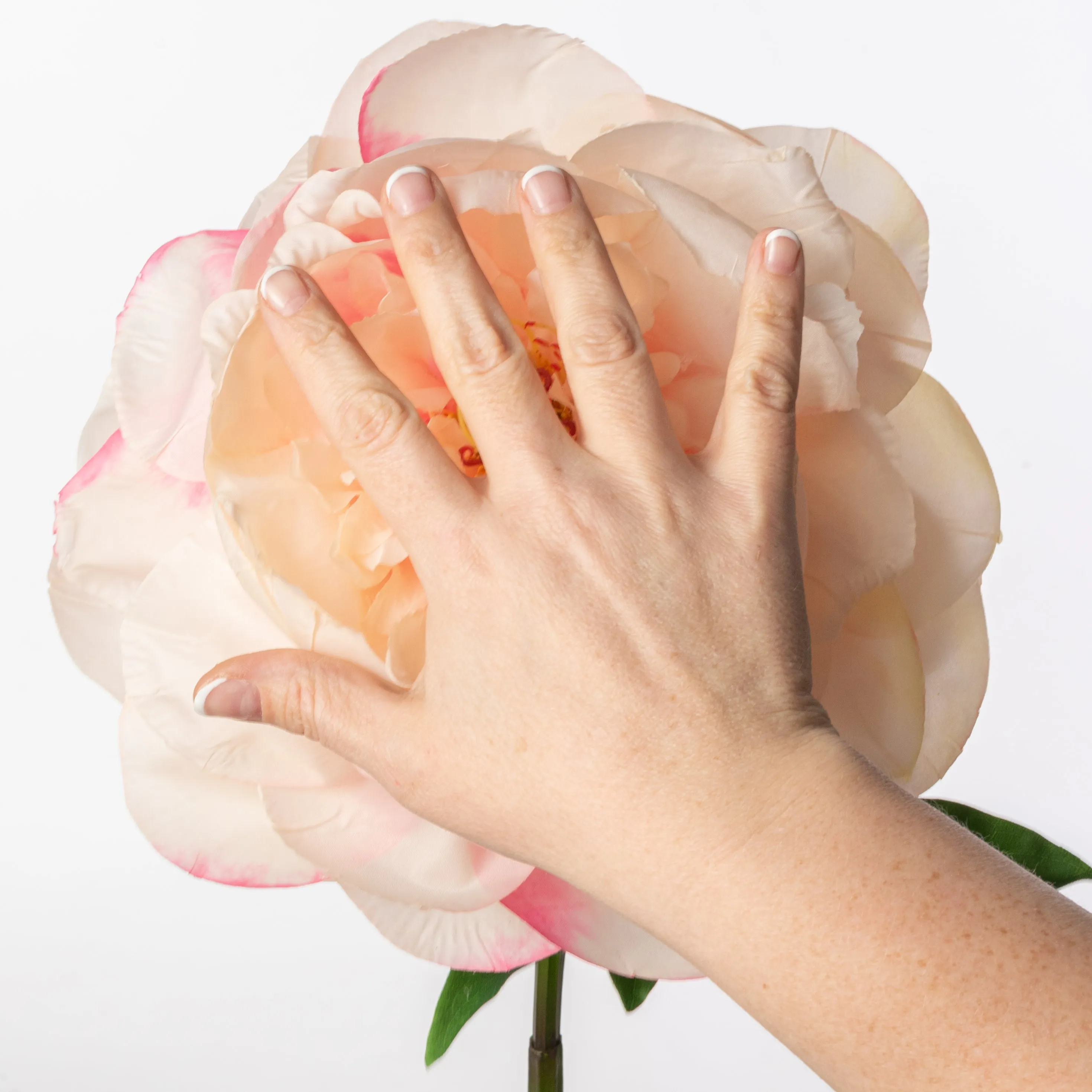 27" Artificial Peony Flower Stem: Peach